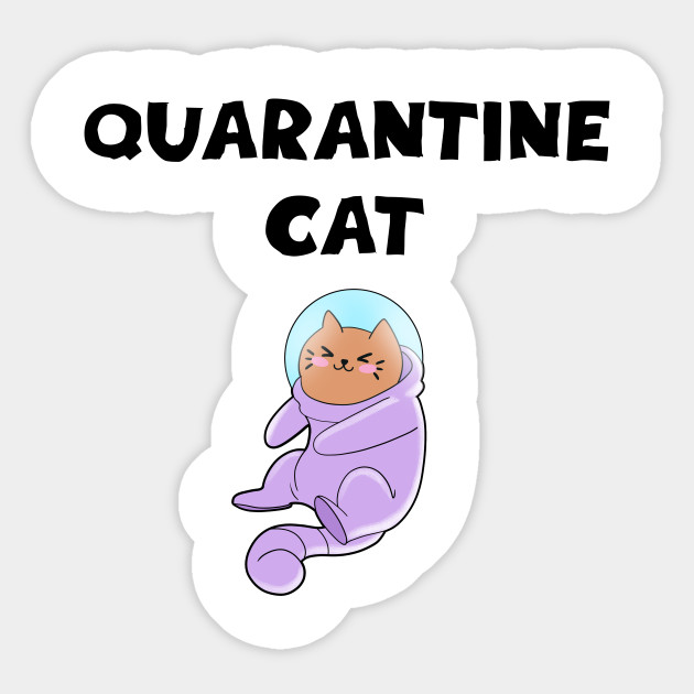 Quarantine Cat Outer Space Fashion Safe Outfit Cute Happy
