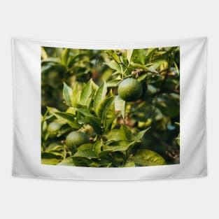 Orange tree Tapestry