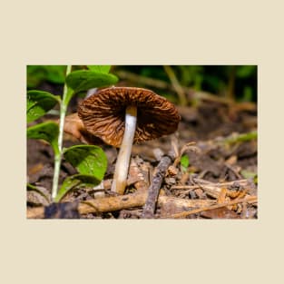 Mushroom Cap on the Woodlands Floor Photograph T-Shirt