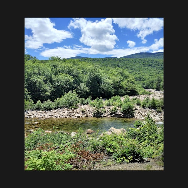 Saco River, White Mountains, New Hampshire, US by allthumbs