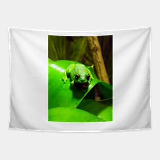 Red-eyed Tree Frog Tapestry