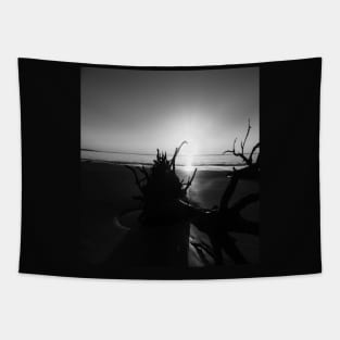 Black and White Sunrise Tapestry