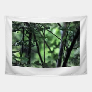 Nature Walk Tapestry