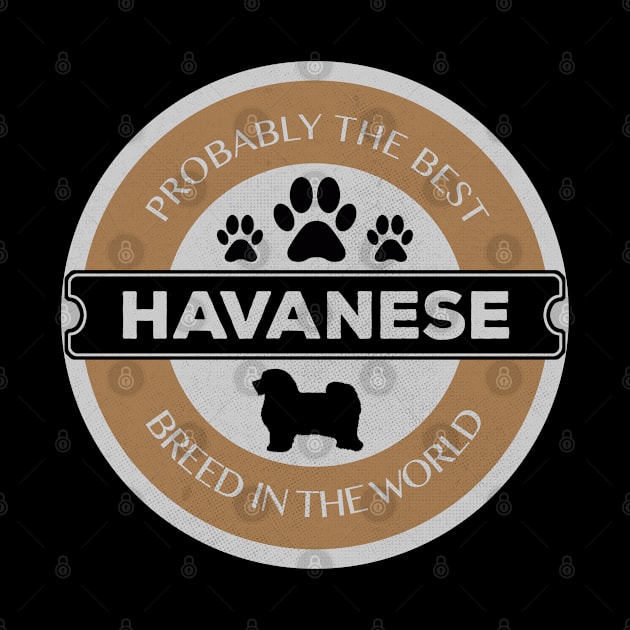 Havanese Logo by RAADesigns