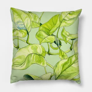 Devils Ivy, Illustration Pillow