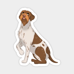 Wirehaired Pointing Griffon Dog Magnet