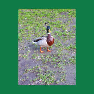 Bird Selfie T-Shirt