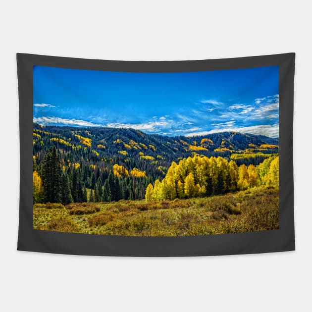 Cumbres and Toltec Narrow Gauge Railroad Tapestry by Gestalt Imagery