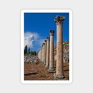 Turkey. Ancient Ephesus. Columns. Magnet