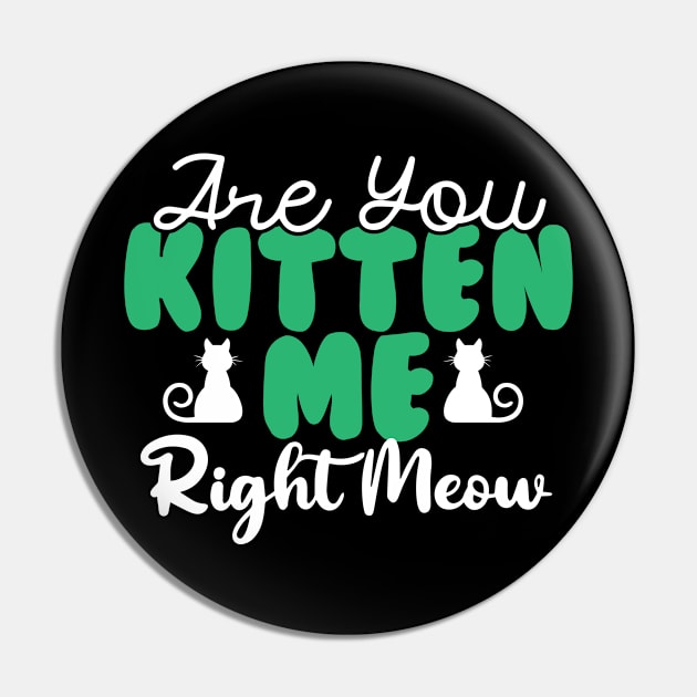 Are You Kitten Me Right Meow Pin by pako-valor