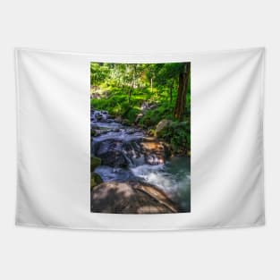 Nature Scene Tapestry