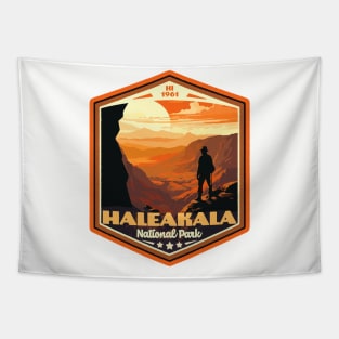 Haleakala  National Park Vintage WPA Style National Parks Art Tapestry