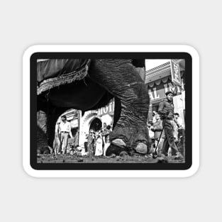 Walking My Elephant Atmospheric exotic B W Photography Magnet