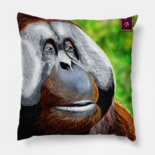 Bornean Orangutan - White Pillow