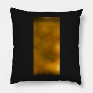 Blur Pillow