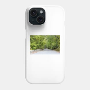 Winding Road Phone Case