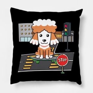Funny poodle is on a skateboard Pillow