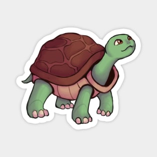 Turtle Magnet