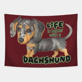 Cute doxie dog walking with attitude on Dappled Dachshund Walking Tapestry