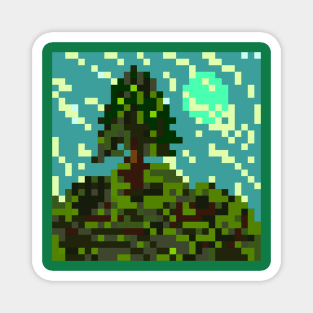 Forest Magnet