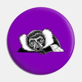 Ruffed lemur - ink illustration Pin