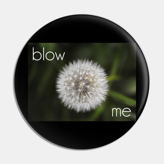 Blow Me Pin by muskitt