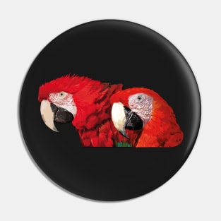 Scarlet macaws Pin