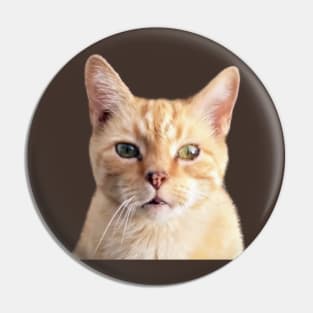 Ginger Cat Head Shot Pin