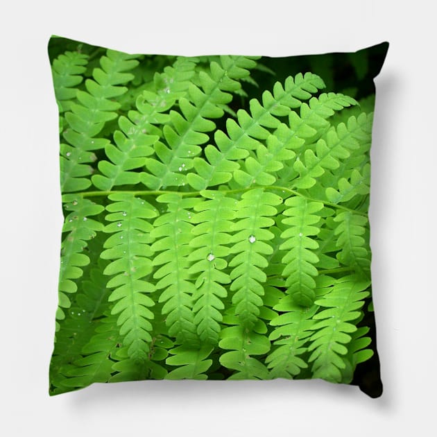 Lispe Fern Pillow by Lispe