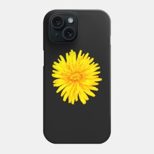 Dandelion Taraxacum officinale  brilliant yellow wildflower with shades of red Phone Case