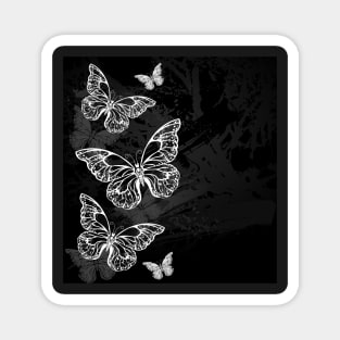 Border with Chalk Butterflies Magnet