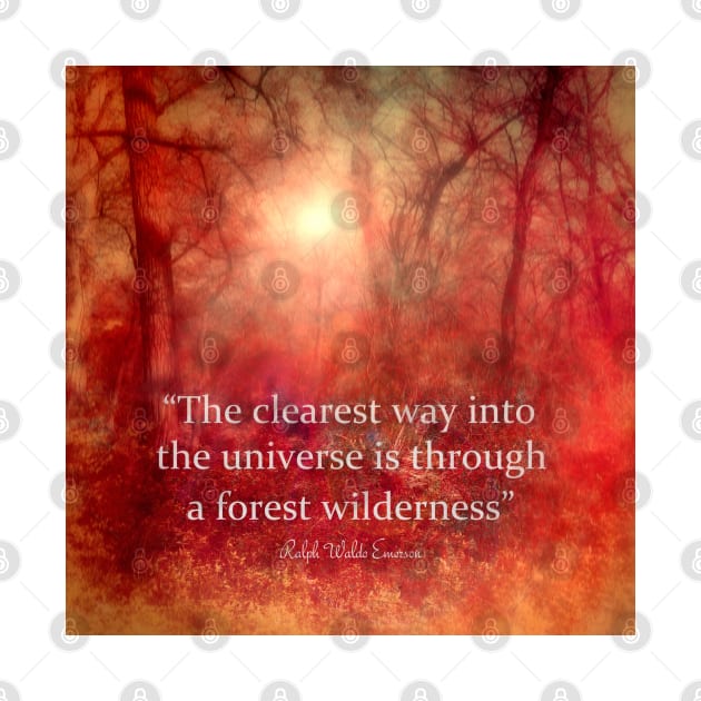 Through The Wilderness Emerson Quote by art64