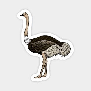 Ostrich Magnet