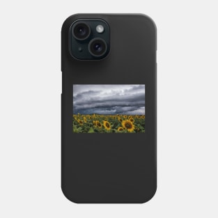 Summer on the Downs Phone Case