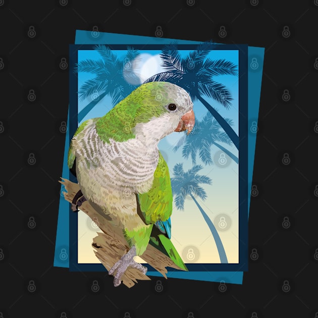 Argentine parrot by obscurite