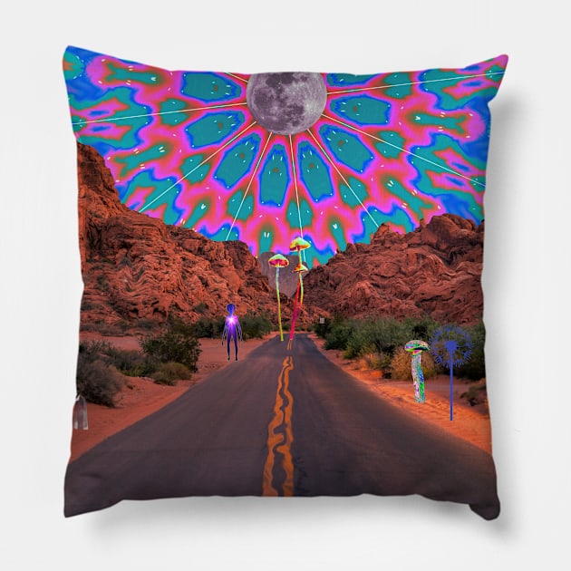 Road Trip Pillow by Cajuca