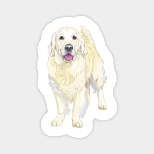 i love my golden retriever Magnet