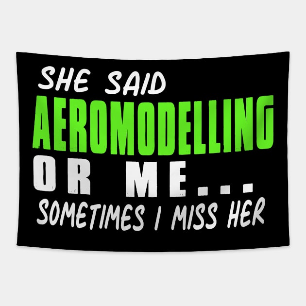 Aeromodelling Sometimes I miss Her Tapestry by zap