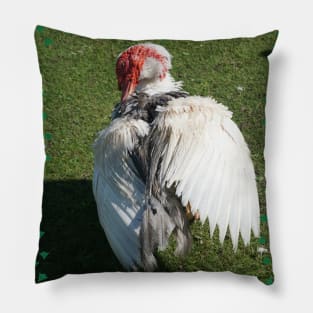 Muscovy Duck Pillow