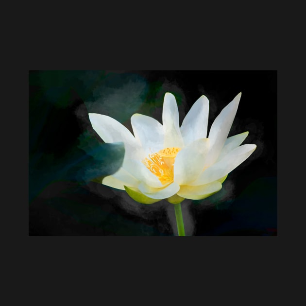 Glowing Lotus Flower by Debra Martz by Debra Martz
