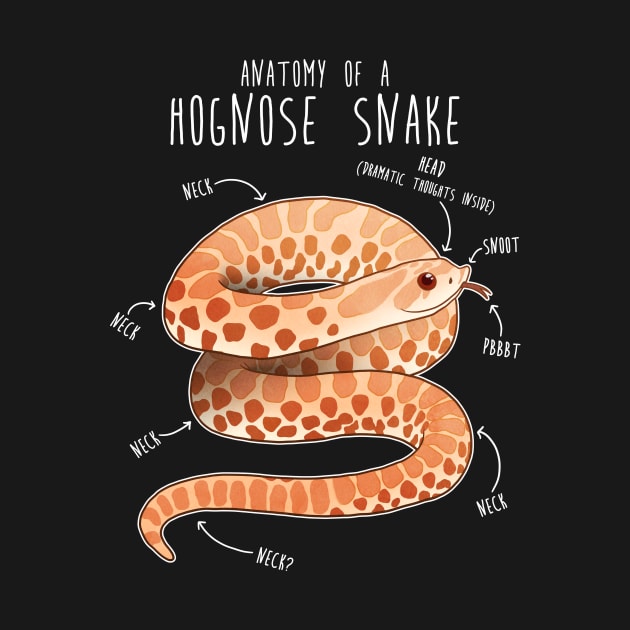 Albino Hognose Snake Anatomy by Psitta