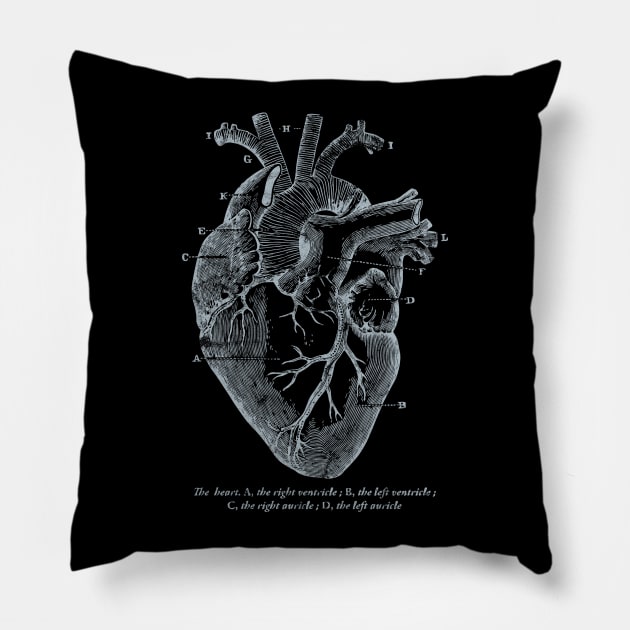 Parts of Heart' Cardiology Parts of the Heart Pillow by ourwackyhome