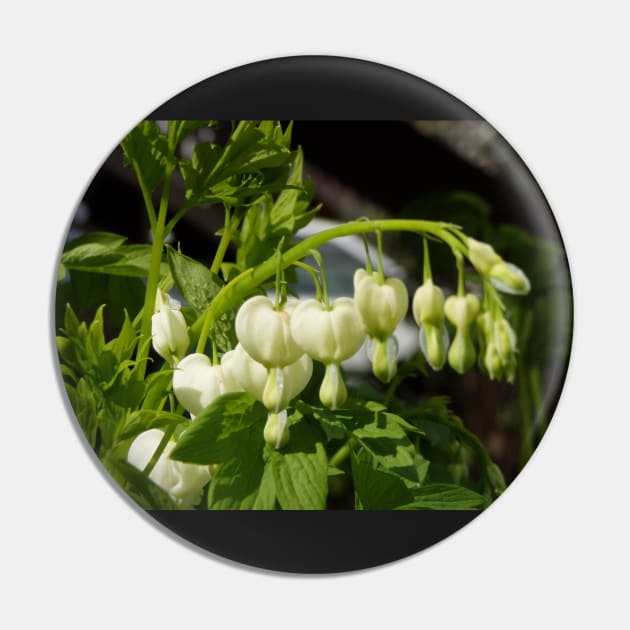 white bleeding hearts #3 Pin by DlmtleArt