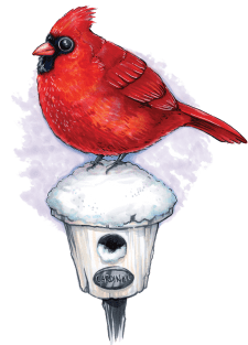 Beautiful Cardinal Bird Magnet