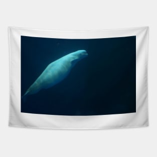 Beluga Whale Swimming Solo Tapestry