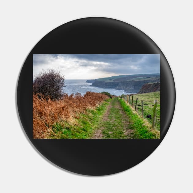 Cleveland Way North Yorkshire Coastline Pin by stuartchard