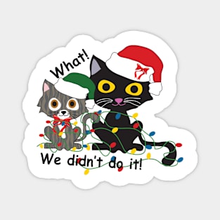 Troubling pair at Christmas Magnet