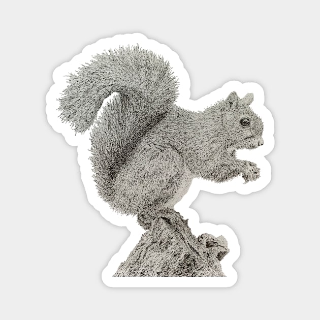 Dotwork Squirrel Art Print Magnet by DrawWithSacha