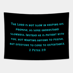 Bible Verse 2 Peter 3:9 Tapestry