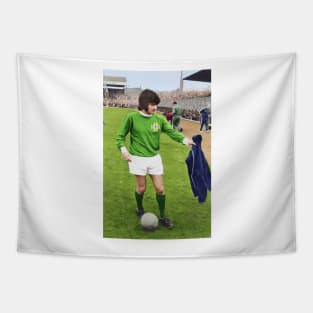 George Best for NI Tapestry